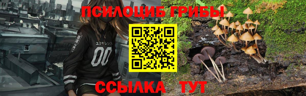 Жуковский  Галлюциногенные грибы прущие грибы  Вход с VPN 