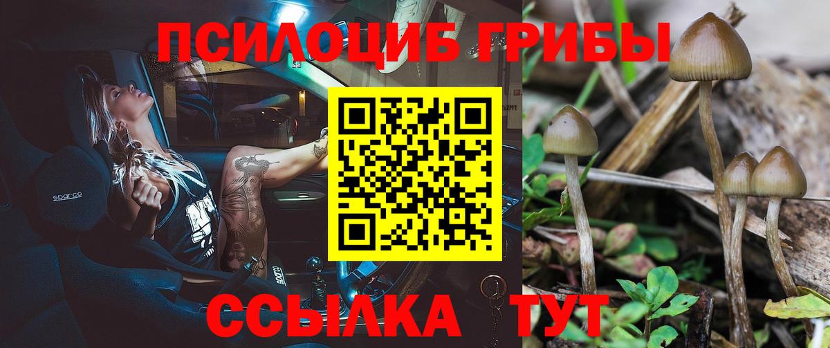 Галлюциногенные грибы ЛСД Жуковский