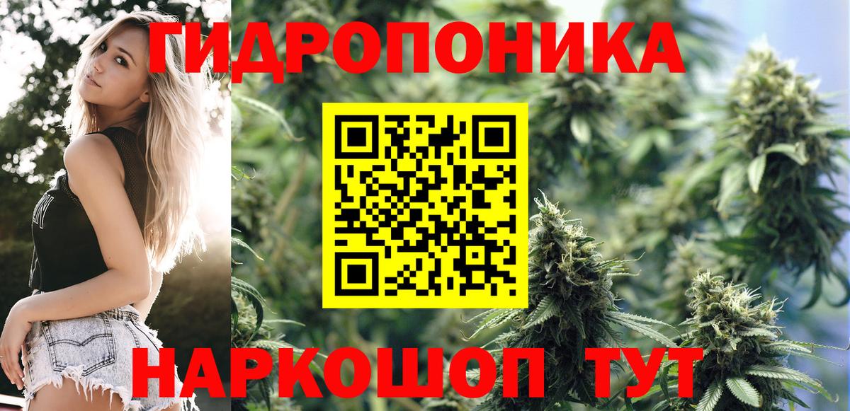 Жуковский  Бошки Шишки марихуана  Шишки марихуана планчик  Вход с VPN  Бошки Шишки конопля  Каннабис VHQ 